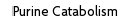 Purine Catabolism
