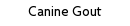 Canine Gout